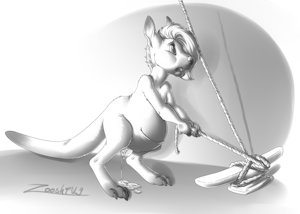 Kangaroo rope
