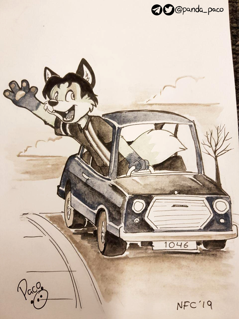 2689919_pandapaco_635stevenrozfox.jpg