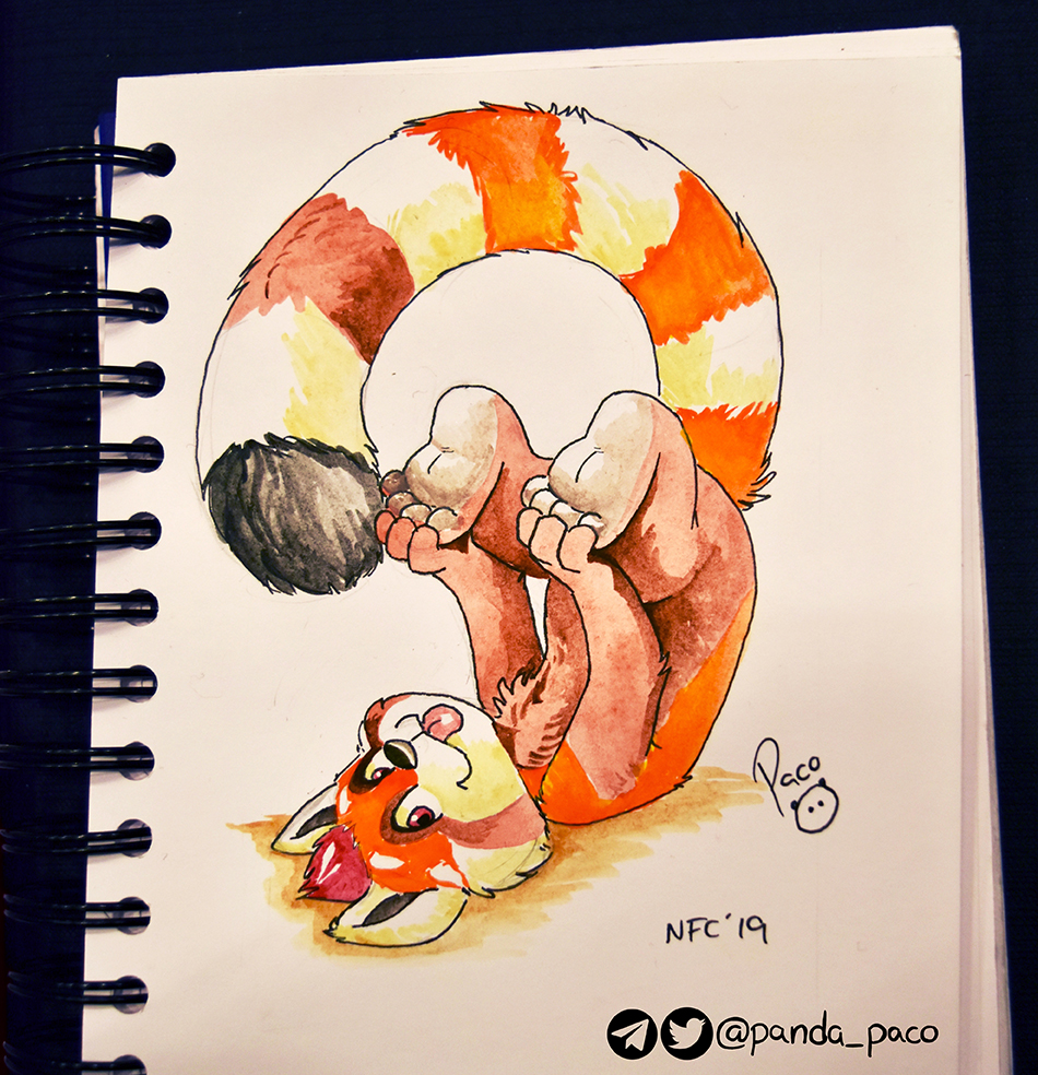 2689921_pandapaco_637jonks.jpg