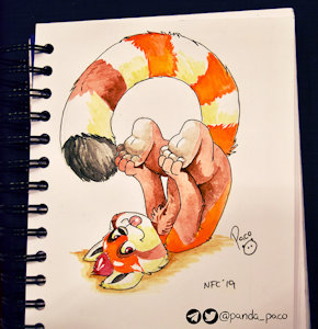 2689921_pandapaco_637jonks.jpg