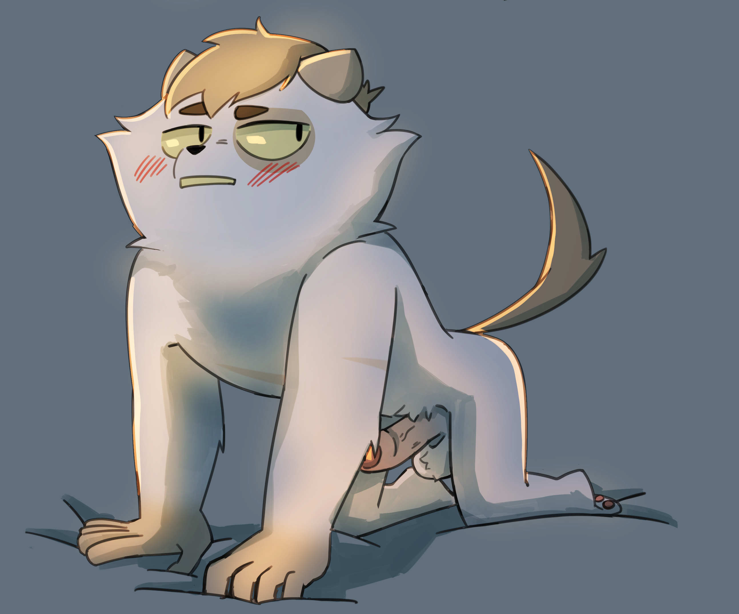 2695501_Hatakerub_27b.png