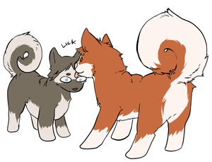 Puppy Licking