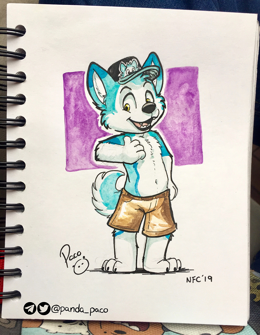 2719268_pandapaco_642shinzo.jpg