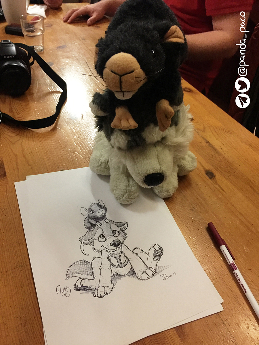 2719269_pandapaco_644husky_wang2.jpg
