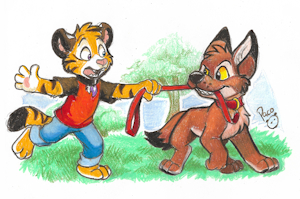 Coyote Walk