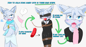 Instructions