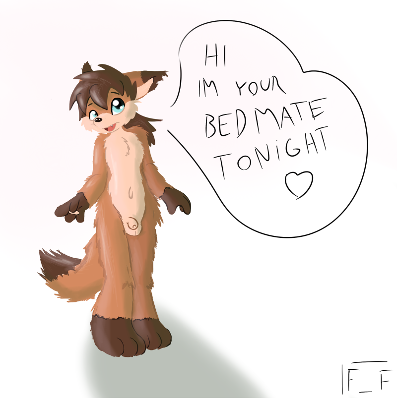 244222_FlyingFox_color_practice.png