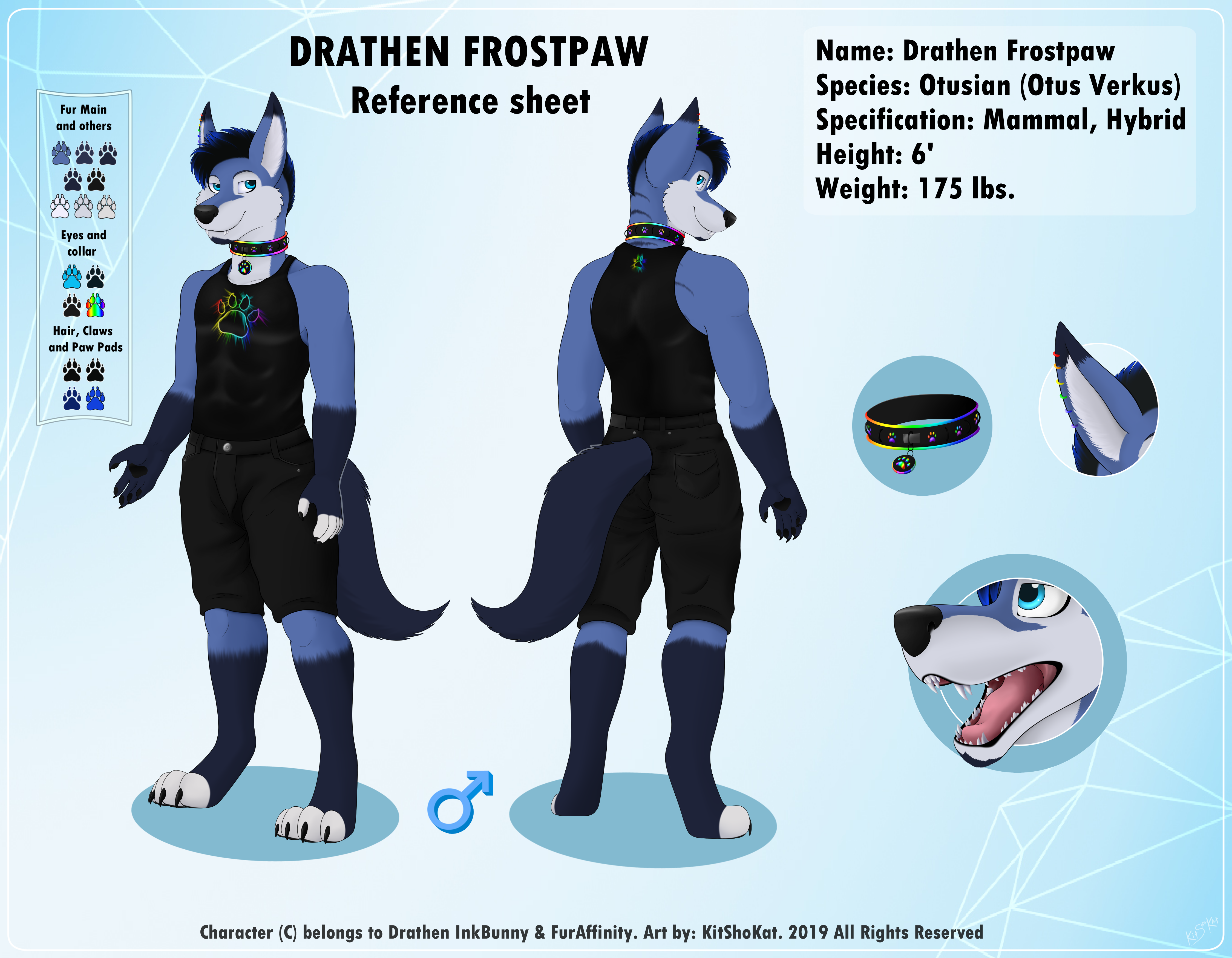 2740559_KitShoKat_ref_sheet_sfw_finished.png