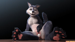 Canine egg time