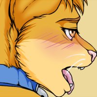 Muzzle Mounting