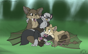 245571_FlyingFox_200449_mizzyam_scotty-kat-commishcolour.png