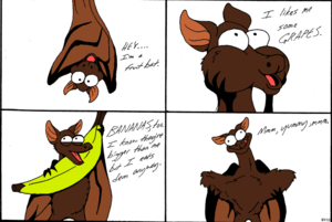 Fruit Bat Interview