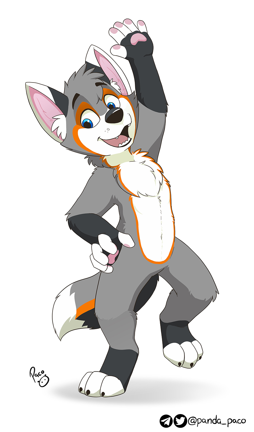 2756759_pandapaco_665tash_fox.jpg