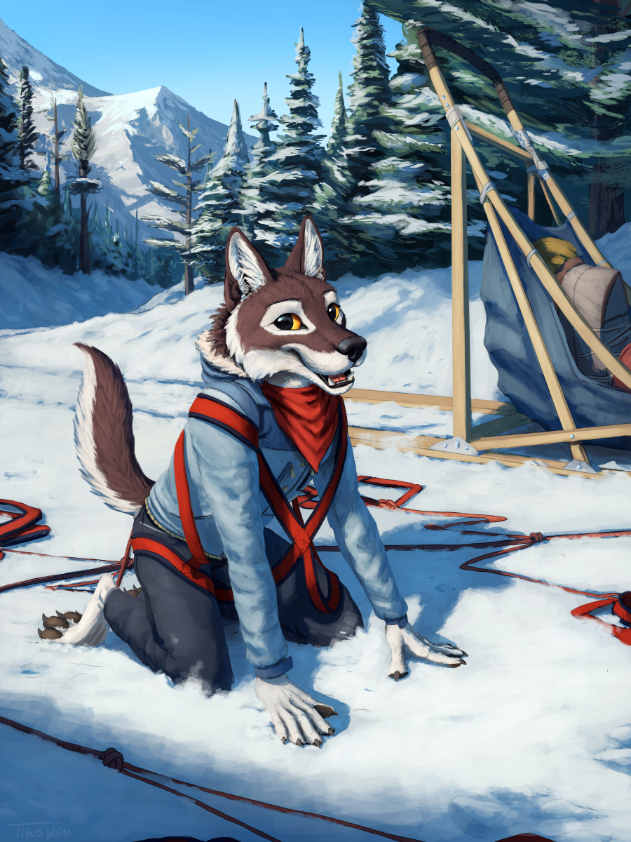 2761219_Balto_someday-1.jpg
