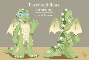 Thermo Dragon