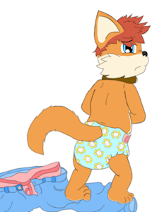 Wet fox