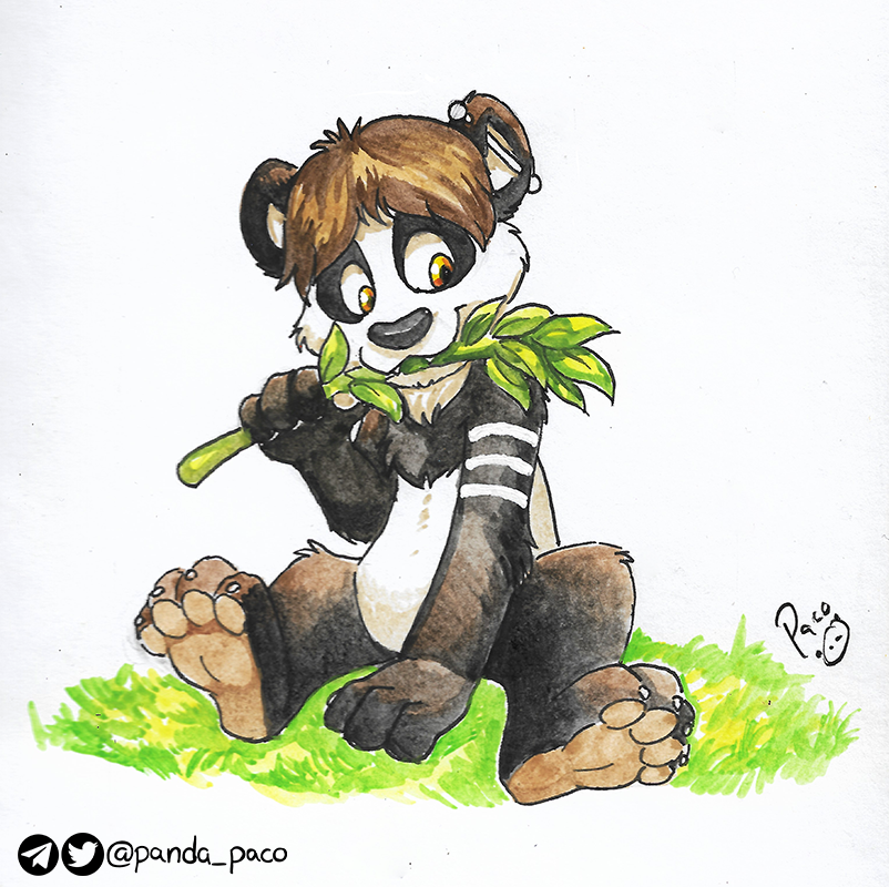 2778695_pandapaco_675neevi.png