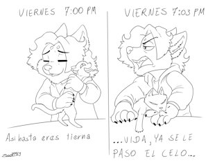 2779261_zooshi_gato_feo_3.jpg