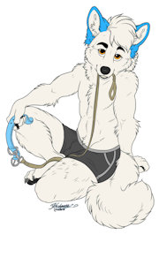 "Ready for my walk" BASE FROM Kashmere