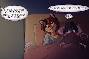 Sneaky Sleepover