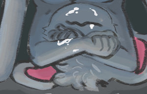 Used