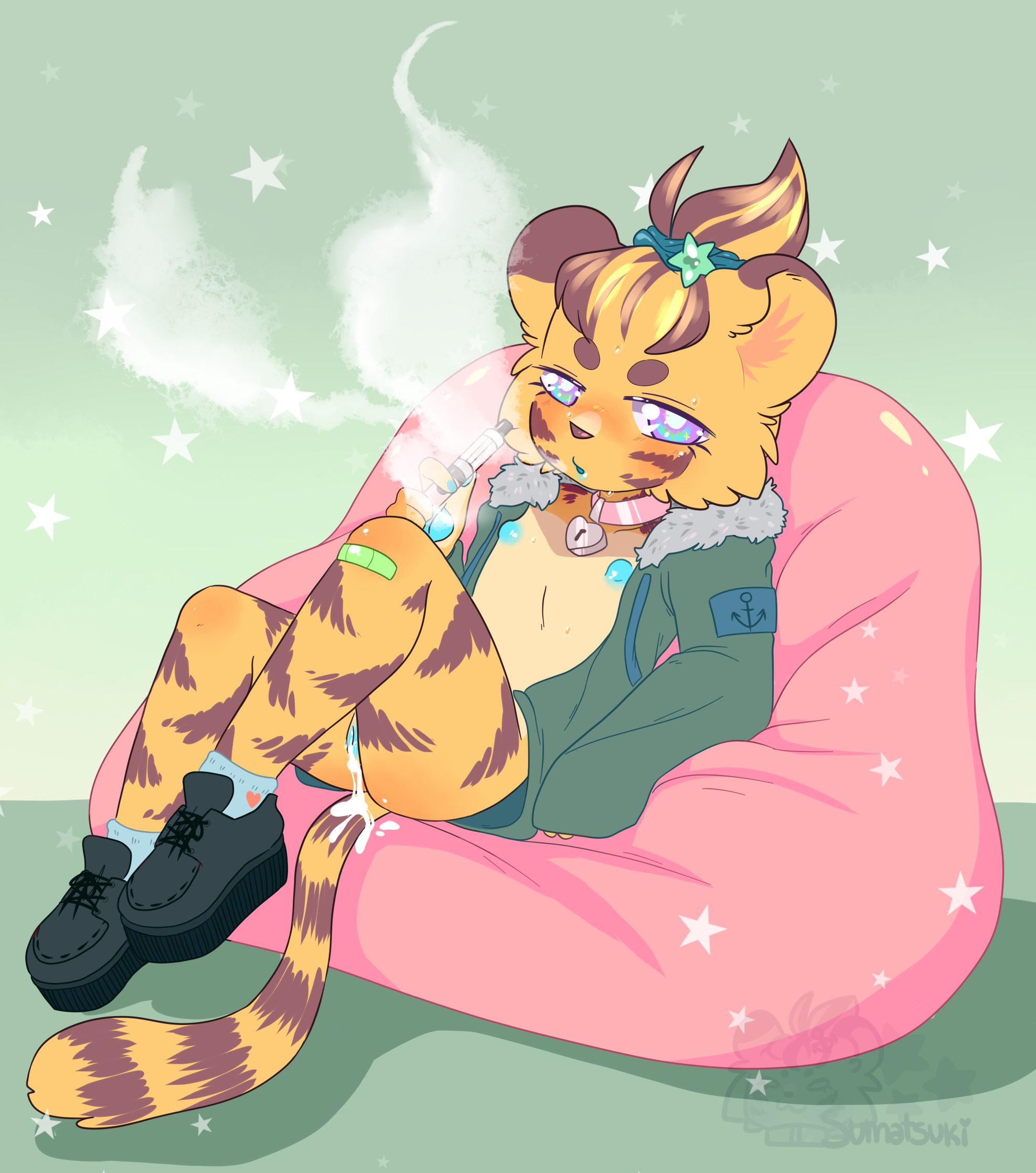 2803016_sumatsuki_dsv2.png