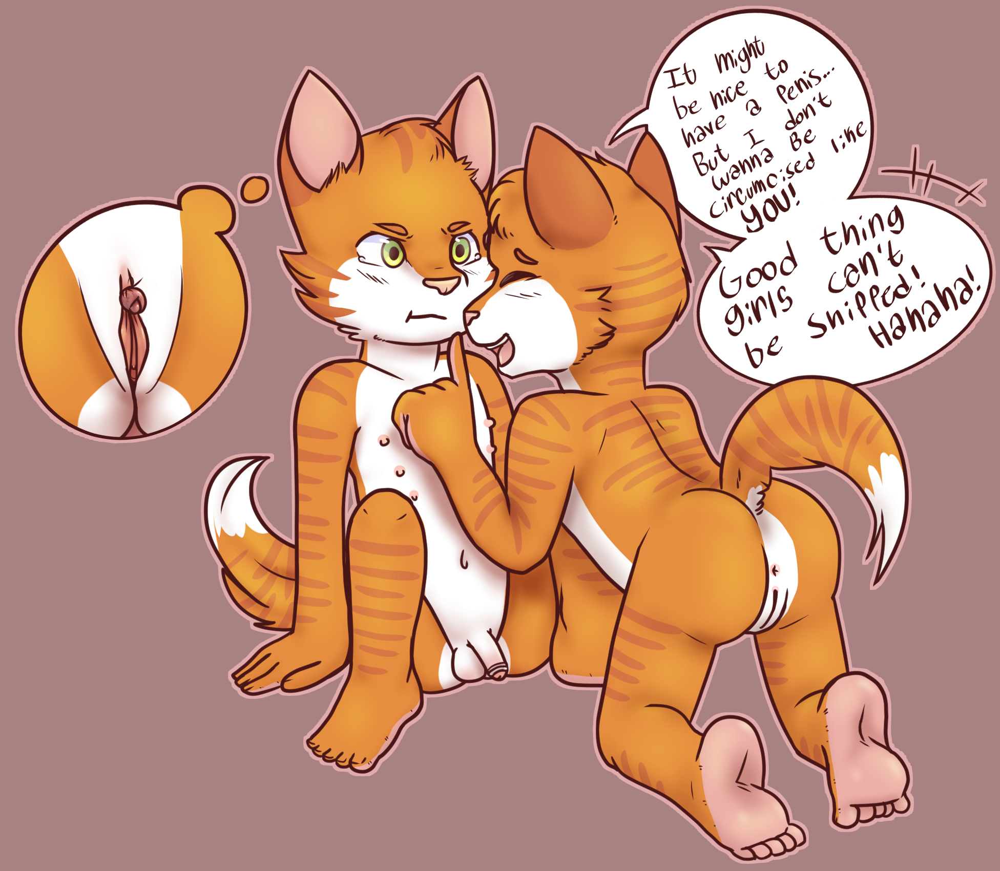2809792_Vladimir_2628983_knottykitten_-_cat_siblings_plastibell_and_clit_circumcised.png