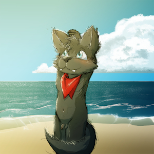 Sunny beach