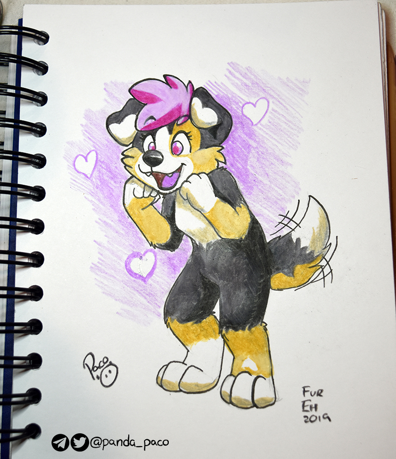 2831750_pandapaco_687harleydoggo.jpg