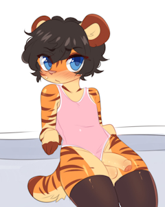 Requests