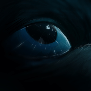Starlit eyes