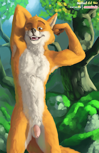 Robin Hood Pinup, Nude