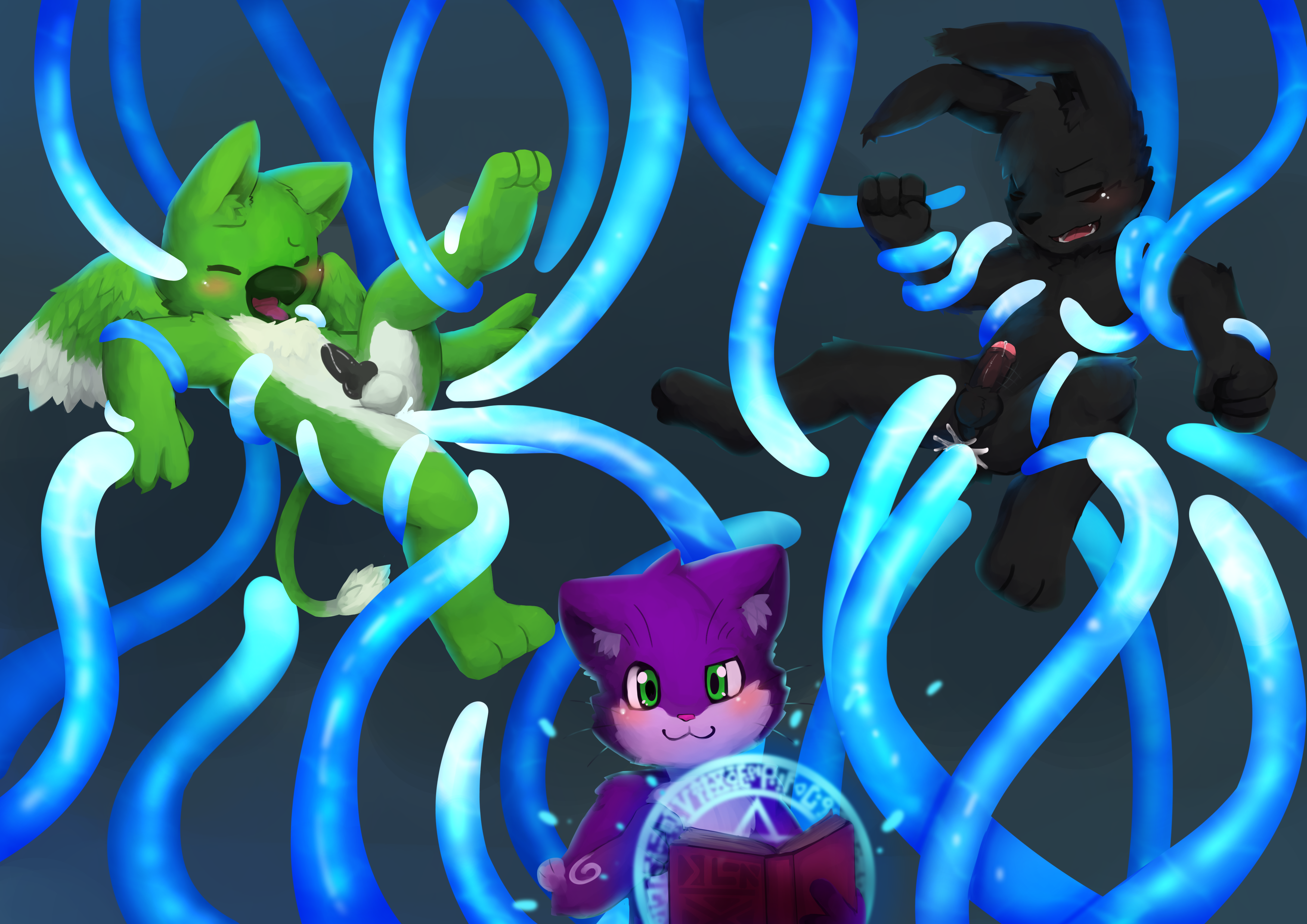 2846791_kake0078_2.png