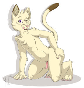 Zach- Bad kitty