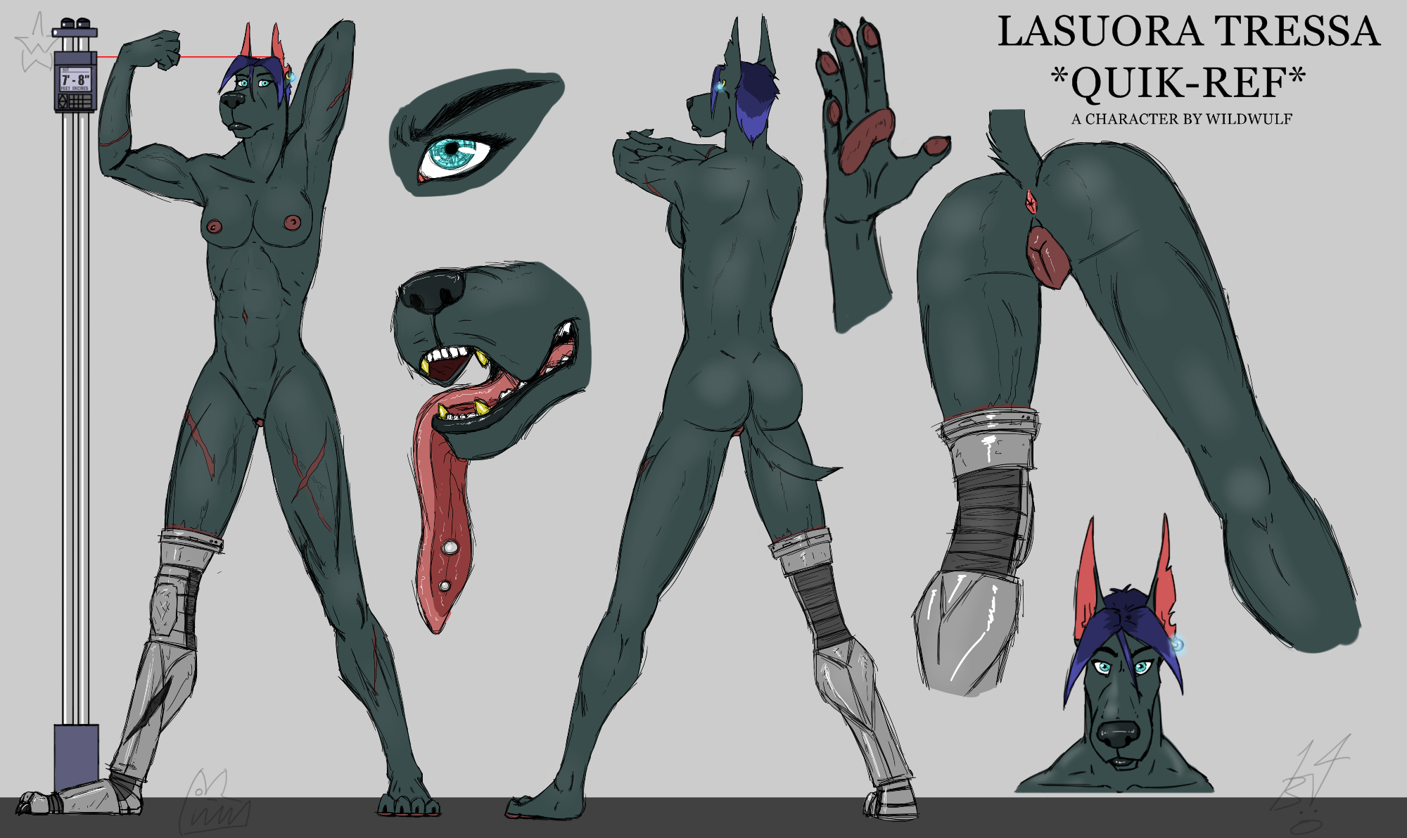 2857704_DangerDoberman_lasuoratressaquickref.png
