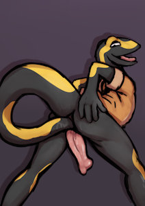 danny the salamander 3