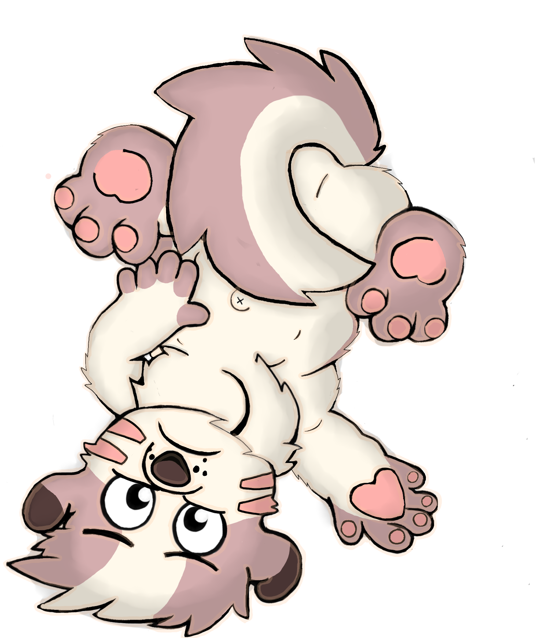 2885817_CookieFoxBrandon_bigpupborf.png