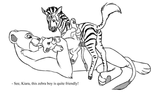 Friendly zebra boy
