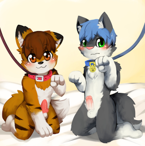 2895414_kake0078_ychduofix2.png