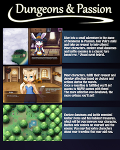 Dungeons & Passion (Working Title) Videogame