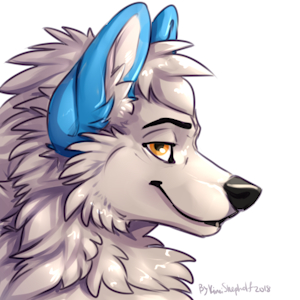 Side HeadShots by Kincishepholf