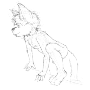 Wet woof practice
