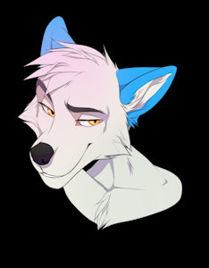portrait by Drmax