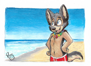 Rocky on the beach