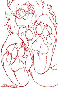 Zoosie's paws