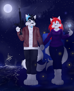 a walk on the beach in midnight