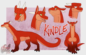 Kindle Reference