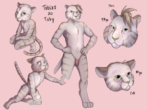 Character Sheet - Tobias