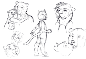 Sketchdump