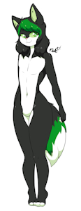 Kiwi Redraw Commission